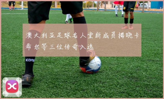 澳大利亚足球名人堂新成员揭晓卡希尔等三位传奇入选