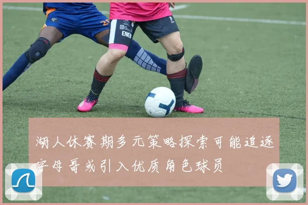 湖人休赛期多元策略探索可能追逐字母哥或引入优质角色球员