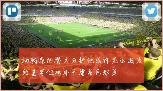 杨瀚森的潜力分析他或许无法成为约基奇但绝非平庸角色球员