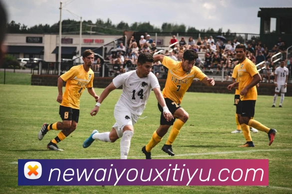 爱游戏体育APP 封面图